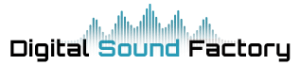 Digital Sound. Компания Digital Sound. Digital Surround Sound logo.